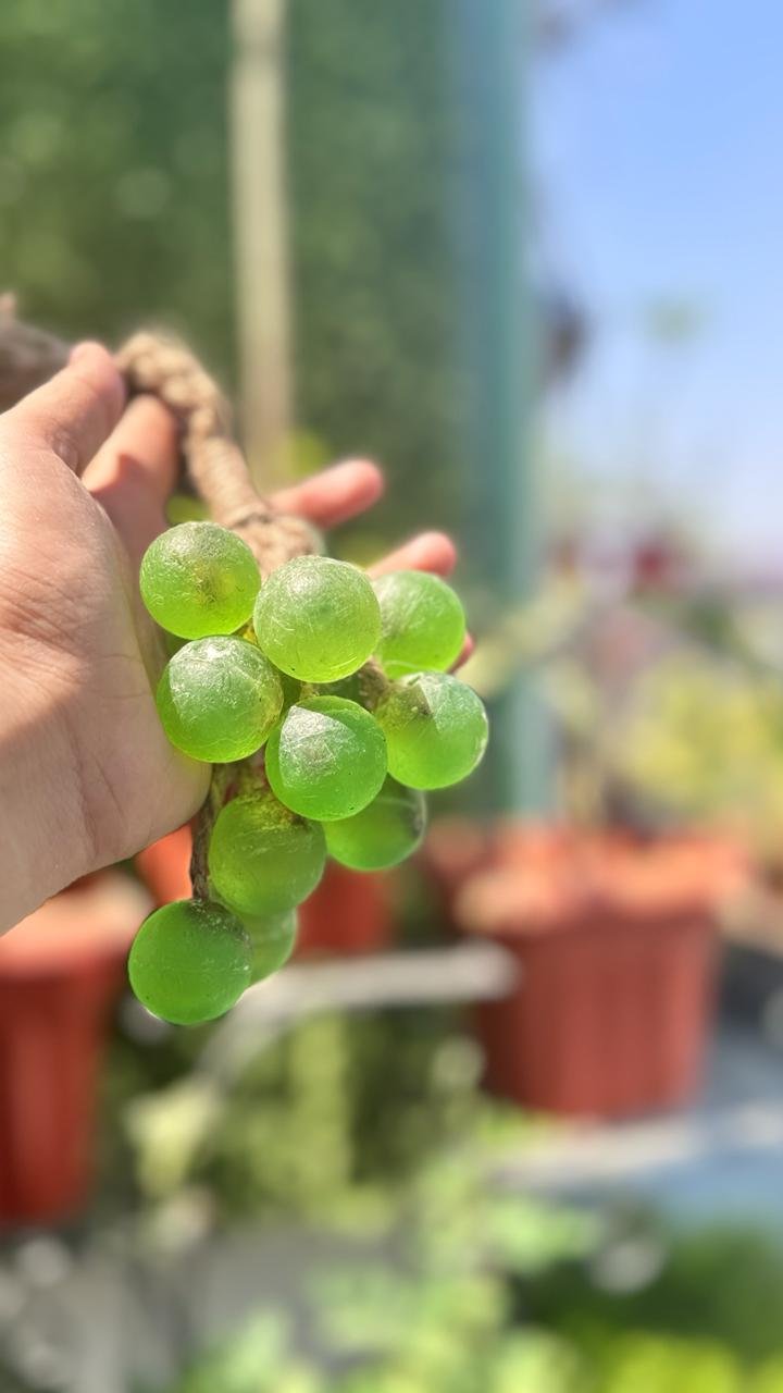 WhatsApp Image 2026-03-07 at 1.02.32 PM