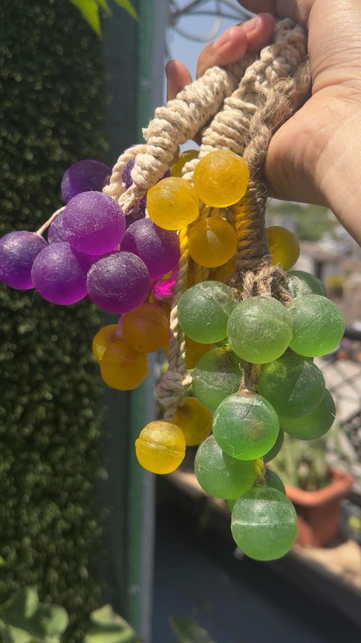 WhatsApp Image 2026-03-07 at 1.02.34 PM (2)